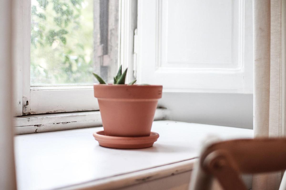 Coliving Trastevere Roma Ngoại thất bức ảnh